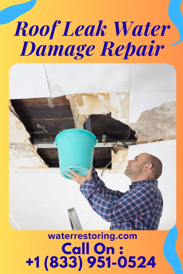 Roof Leak Water Damage Repair in Jamestown, KY