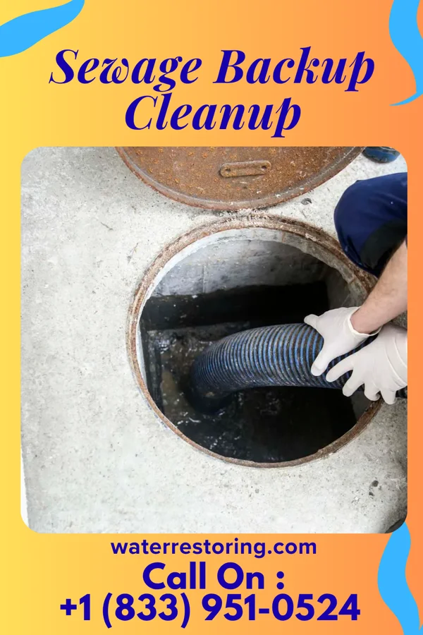 Sewage Backup Cleanup in Jamestown, KY