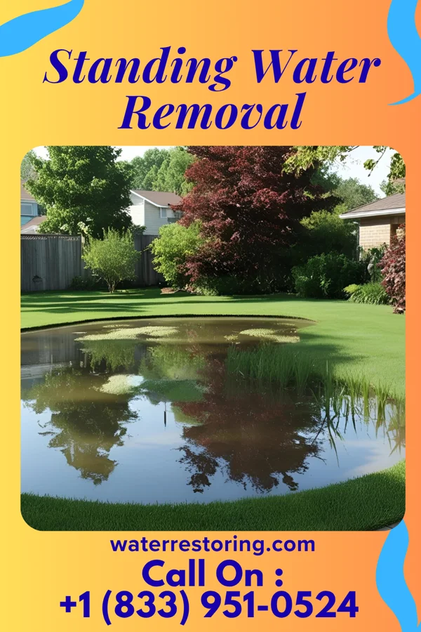 Standing Water Removal in Jamestown, KY